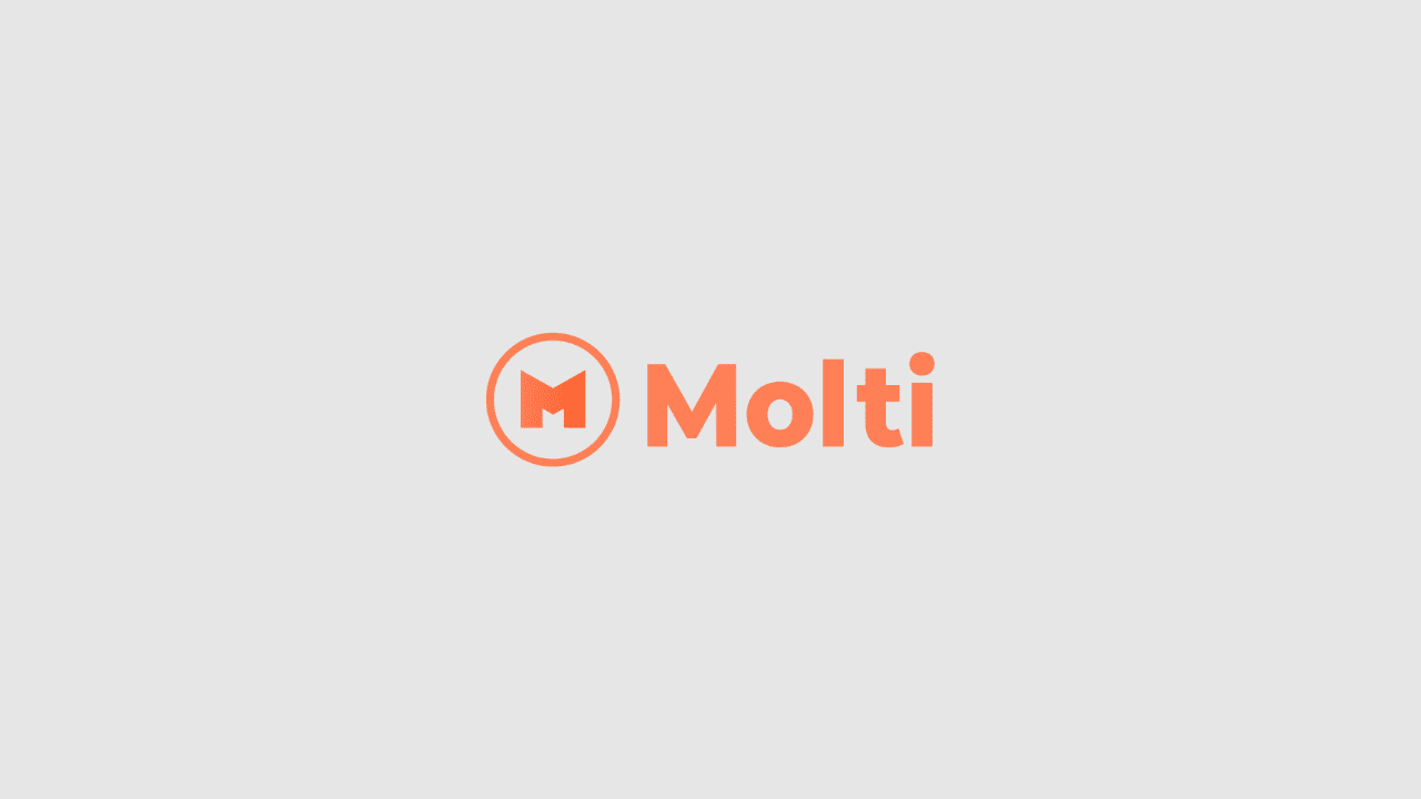 Molti - Welcome