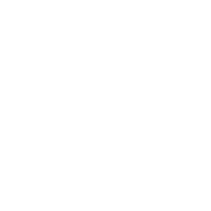 logo-bumblebee